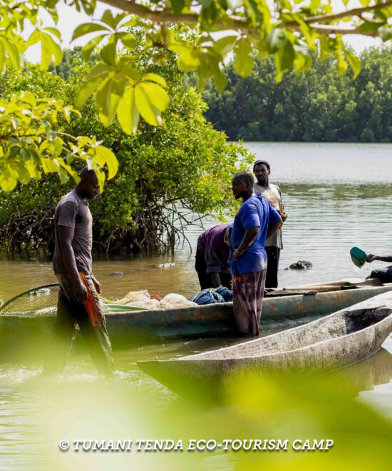 Cultural activities: music, dance, and cooking