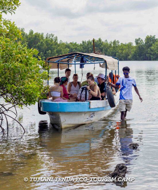 Forest walks & wildlife spotting
