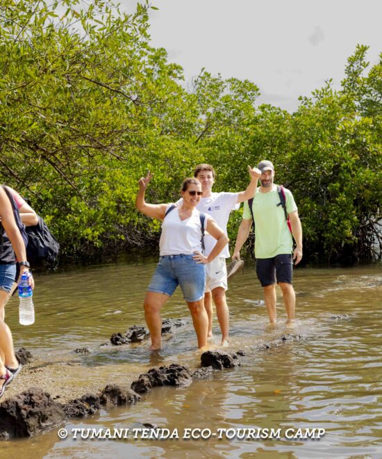 Roundhouses & camping areas